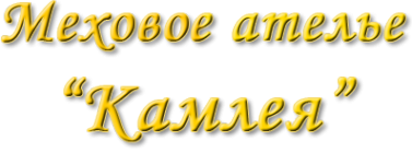 Логотип компании Камлея