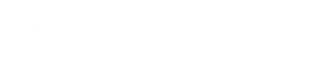Логотип компании Орликов