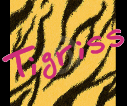 Логотип компании Тигрис