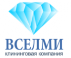 Логотип компании ВСЕЛМИ