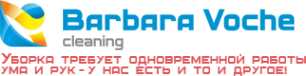 Логотип компании Barbara Voche