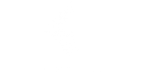 Логотип компании FrontMedal