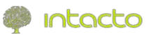 Логотип компании Intacto Style