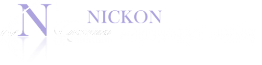 Логотип компании Никкон