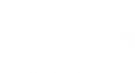 Логотип компании Virs