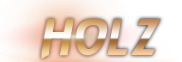 Логотип компании HOLZ INT
