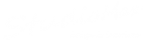 Логотип компании STUDIO MAX