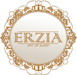 Логотип компании Erzia