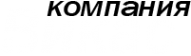 Логотип компании Викас
