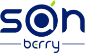 Логотип компании SANBERRY