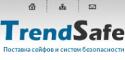 Логотип компании TrendSafe