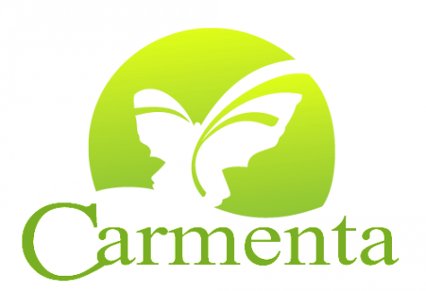Логотип компании Кармента