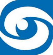 Логотип компании ФИС