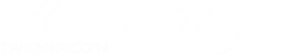 Логотип компании Mi