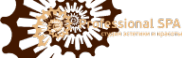 Логотип компании Professional SPA