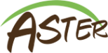 Логотип компании Астер