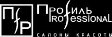 Логотип компании Проfиль Professional