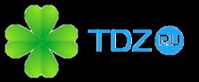 Логотип компании TDZ.ru