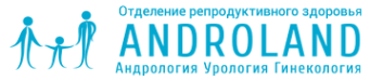 Логотип компании Androland