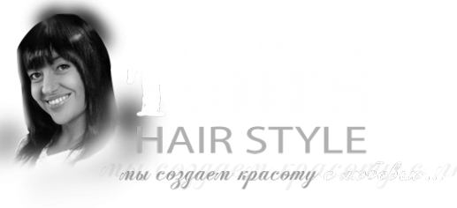 Логотип компании Тодес
