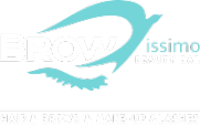 Логотип компании Browissimo