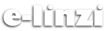 Логотип компании E-linzi