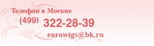 Логотип компании Eurowigs.ru