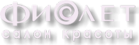Логотип компании Фиолет