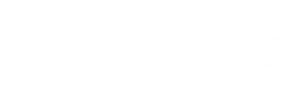 Логотип компании Арт-Лев
