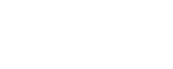 Логотип компании Небесный Свет
