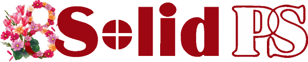 Логотип компании Солид