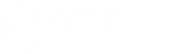 Логотип компании Гусар