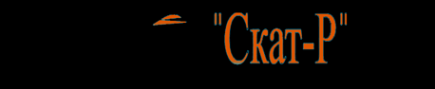 Логотип компании Скат-Р