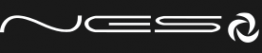 Логотип компании Nes Groop