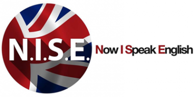 Логотип компании N.I.S.E