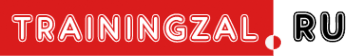 Логотип компании TrainingZal