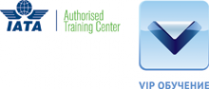 Логотип компании ВИП обучение