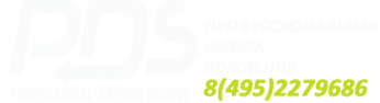 Логотип компании PDS