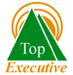 Логотип компании Top Executive
