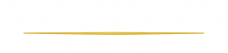 Логотип компании Amundsen International