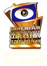 Логотип компании Высшая национальная школа телевидения Логотип компании Высшая национальная школа телевидения