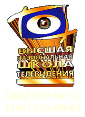 Логотип компании Высшая национальная школа телевидения