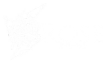 Логотип компании Rose Studio