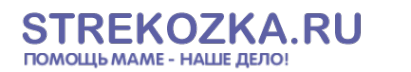 Логотип компании STREKOZKA.RU