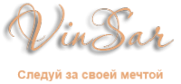 Логотип компании VinSar