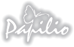 Логотип компании Papilio