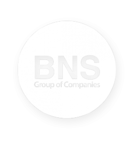 Логотип компании BNS group