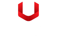 Логотип компании Veiks