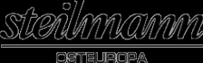 Логотип компании Evrotone