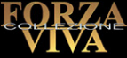 Логотип компании ForzaViva